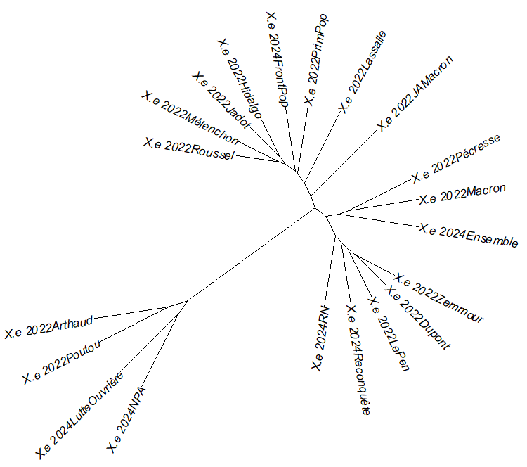 Arbre de Labbé 2024